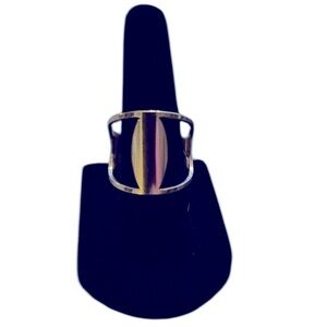 Geometric Ring-Stainless